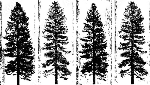 Four tall pine trees silhouettes with detailed branches and needles in vertical alignment