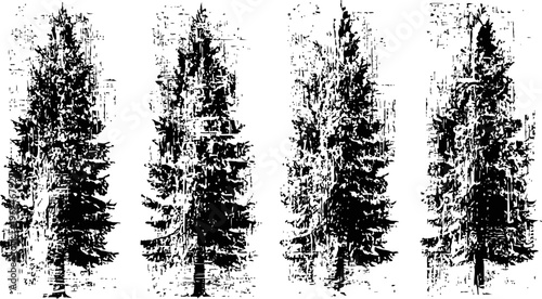 detailed black and white silhouettes of tall pine trees with dense foliage in natural shapes