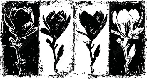 abstract black and white floral silhouettes set modern art composition with four stylized flowers on textured background