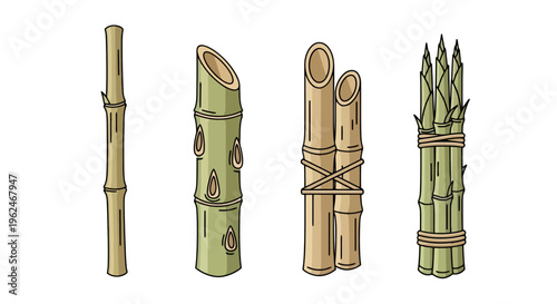Vector illustration of bamboo and sugarcane stalks set. Bundled and single stalks of sugar cane and bamboo for farming and agricultural concepts.