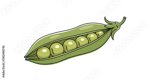Single green pea pod with several peas inside on a white background, fresh organic vegetable illustration for healthy eating concept.