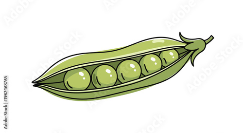 Detailed illustration of a green pea pod with five peas inside, fresh garden vegetable element for cooking and nature themes design.