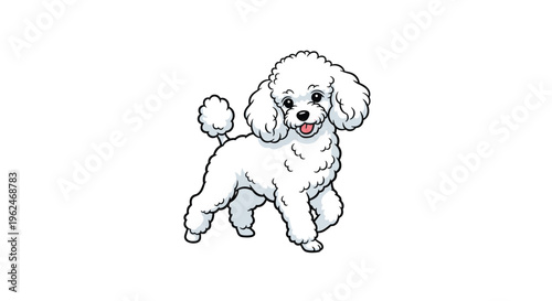Adorable white curly haired poodle puppy standing and smiling happily while looking at the camera on a white background for pet care illustrations.
