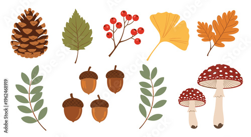 Beautiful collection of autumn nature elements featuring various colorful fall leaves, pine cones, acorns, and wild mushrooms for seasonal art.