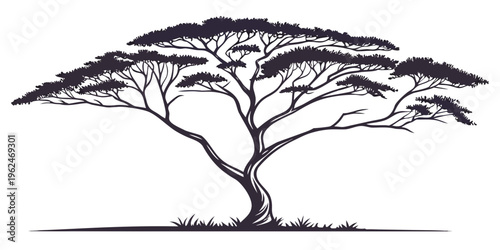 A majestic baobab tree standing tall and proud in the savannah landscape