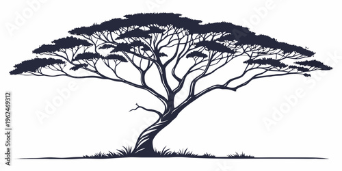 A majestic acacia tree stands tall against a clear sky, its branches reaching out in all directions.