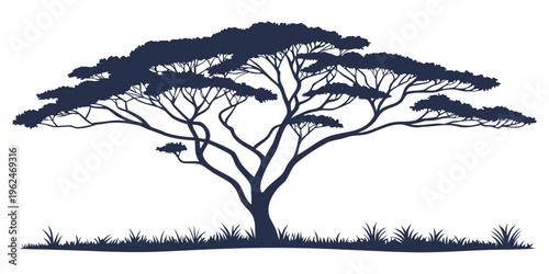 A majestic acacia tree standing tall on the savannah under a clear blue sky