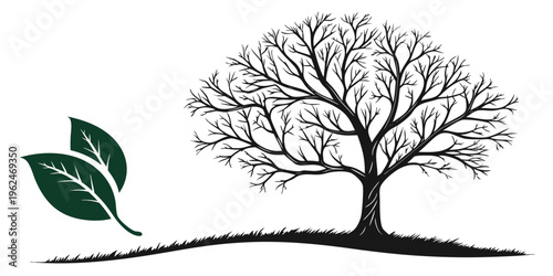 A solitary tree with a single leaf on a gentle hillside