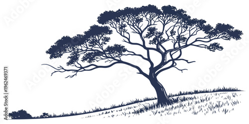 Majestic tree standing tall on a hillside with a clear blue sky in the background