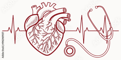 Anatomical illustration of a human heart with a stethoscope and heartbeat graph