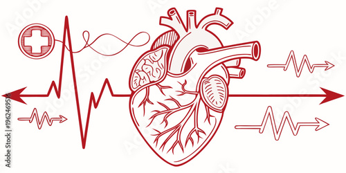 An intricate illustration of a human heart with arrows and a heartbeat line.