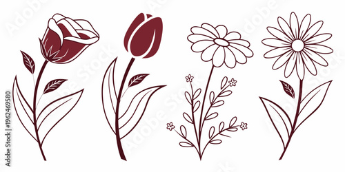A delicate illustration of four different flowers in a row, each with unique petals and leaves.