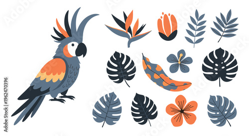 Colorful cockatoo parrot illustration accompanied by a variety of tropical leaves and flowers in shades of grey and orange.