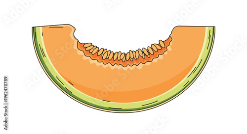 Ripe slice of delicious orange cantaloupe melon with visible seeds in the center shown clearly against a plain white background.