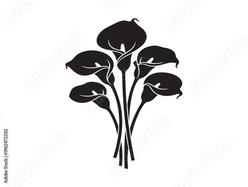 Calla lily bouquet silhouette with sophisticated floral arrangement 