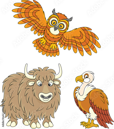 Vector cartoon set of a brown wooly yak, a funny white-headed vulture and a flying owl