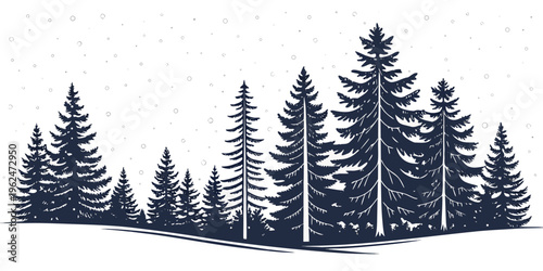 A dense forest of tall, dark pine trees standing in a row on a hillside