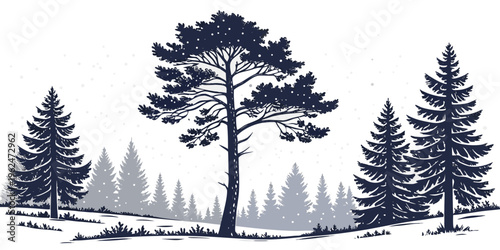 A serene forest scene with tall trees and a calm atmosphere