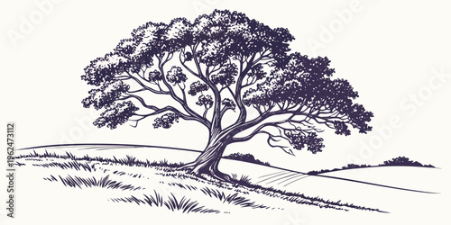 A majestic tree standing tall on a rolling hillside with a clear blue sky.