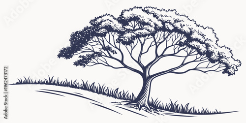 A majestic tree standing tall on a hill with a clear blue sky in the background