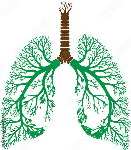 Conceptual green tree lungs vector illustration, human respiratory system as forest branches, environmental health and clean air ecology symbol