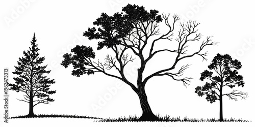 Three distinct trees standing in a field with a clear sky behind them