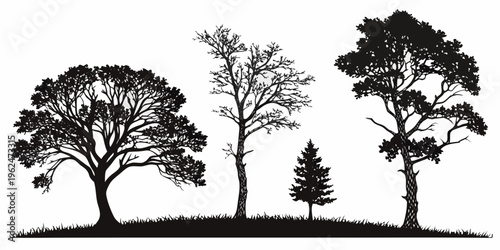 A serene landscape featuring four distinct trees on a gentle hillside