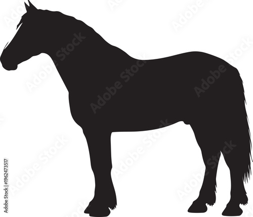 Photos Clydesdale Horse horse in silhouette on white background.