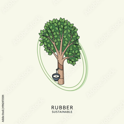 Sustainable Rubber Tree with Tapping Bucket for Latex Production.