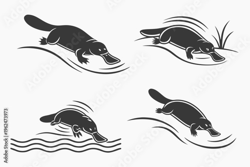 Minimalist black and white platypus swimming icons set, vector wildlife illustration