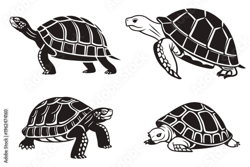 tortoise-walking---icons-set---4-minimalist-icons-