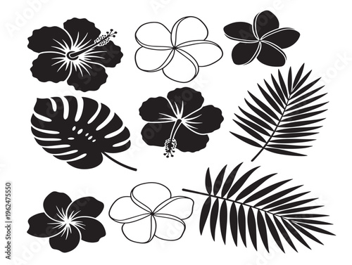 Bold tropical flowers and leaves silhouette with lush composition 