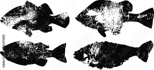 Four vintage fish silhouettes with textured grunge isolated on white background