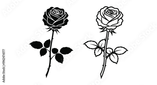 Two elegant roses in black and white side by side