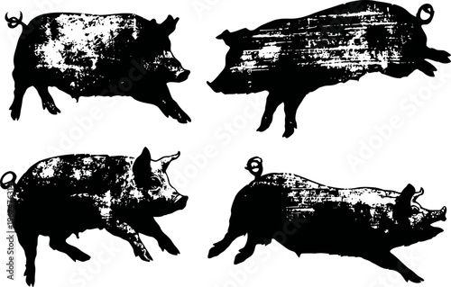 Four black silhouette pigs in different poses farm livestock animals vector illustration