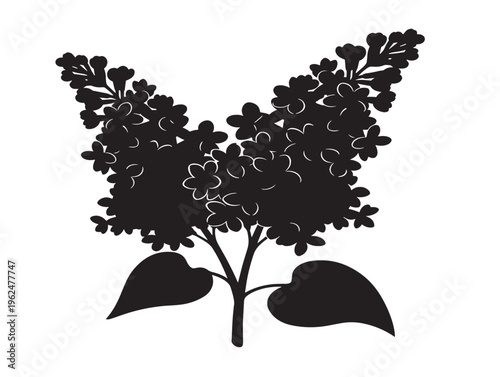 Elegant lilac blossoms silhouette with detailed floral clusters 