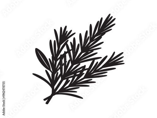 Fresh rosemary sprigs silhouette with clean botanical lines 