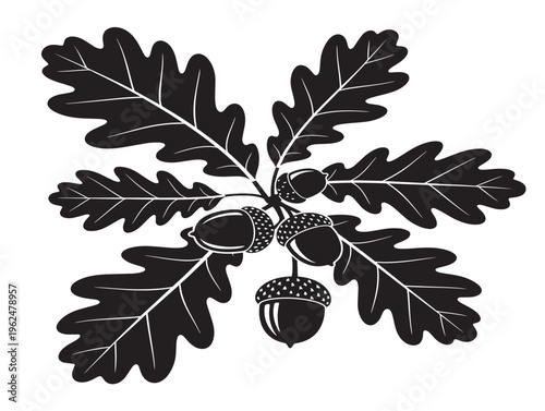 Oak leaves and acorns silhouette with classic woodland charm