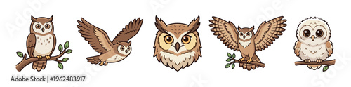 Cute cartoon owls in various poses and expressions, including flying, perching on branches, and a detailed face, rendered in a charming illustrative style.