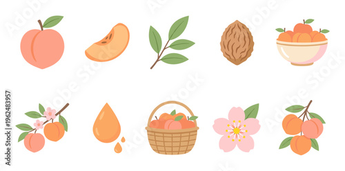 Peaches and related elements are beautifully illustrated in a comprehensive collection showcasing various forms of the popular fruit.