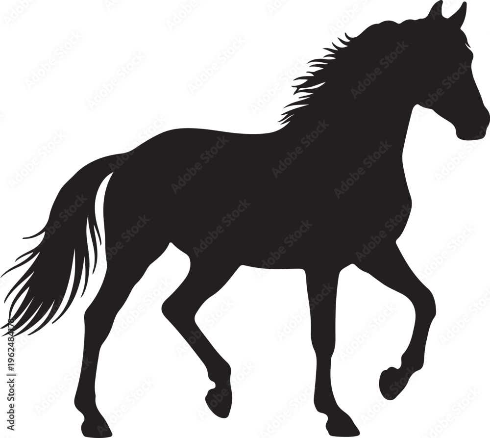 Obraz premium Horse in silhouette on white background