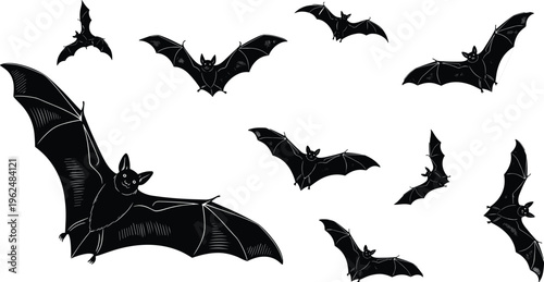 Bat silhouette illustration set, flying nocturnal wildlife Halloween night artwork, animal vector design concept