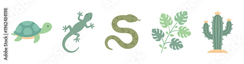 Cute cartoon reptiles and plants collection in a flat design style features a turtle, gecko, snake, monstera, and cactus illustrations.