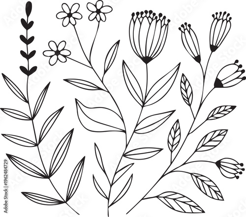 Doodle style collection of various wild flowers and botanical branches with leaves hand drawn in black ink on clean white background