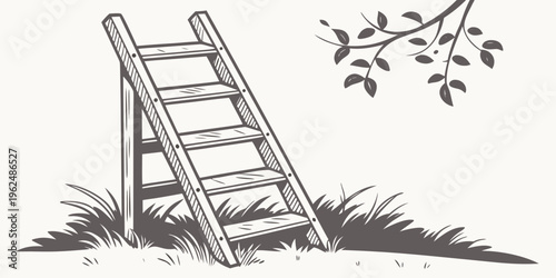 A wooden ladder leaning against a tree with branches in the background