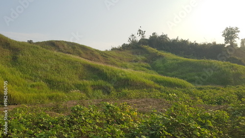 Photography A serene landscape featuring rolling green hills covered in lush grass under a b