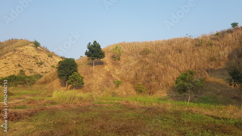Photos A scenic view of rolling hills covered in dry golden grass under a clear blue af