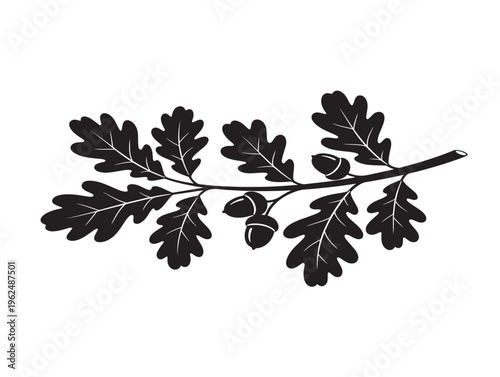Detailed oak branch silhouette with strong natural leaf composition 