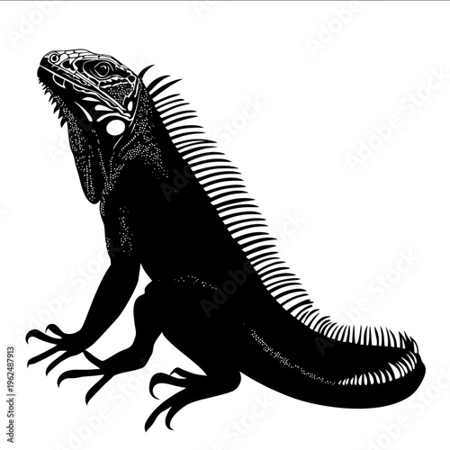 black silhouette iguana on a white backgrounk vector