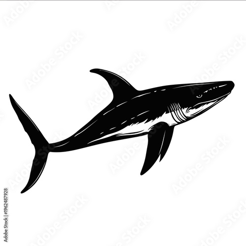 black silhouette Ichthyosaurus on a white backgrounk vector